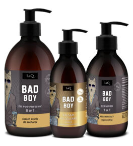 Zestaw Gładkie Mycie BAD BOY